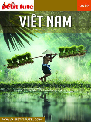 cover image of VIETNAM 2019 Petit Futé